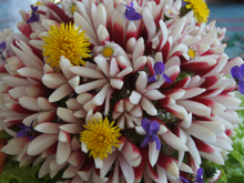 Bouquet croquant nature