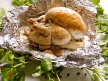 Le poussin de Marseille