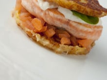 Croq' saumon de Norvège