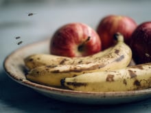 Mouches à fruits dans la cuisine : la méthode infaillible pour les éloigner