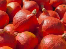 Comment éplucher et cuisiner le potimarron ?