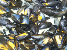 Moules marinières gourmandes