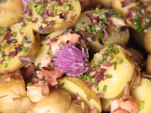 Salade tiède de Bonnottes de Noirmoutier aux algues et à la fleur de ciboulette