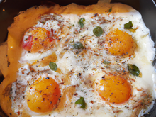 Œufs durs gratinés à la florentine