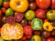 Laurent Mariotte vous encourage à choisir ce type de tomates si vous voulez vraiment vous régaler !