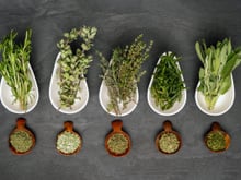 Fraîches ou séchées : comment bien choisir ses herbes aromatiques pour ne pas ruiner sa recette