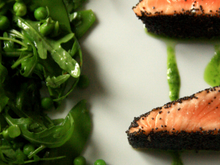 Saumon mi-cuit en croûte de pavot, salade très verte parfumée au wasabi