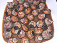 Escargots tout choco