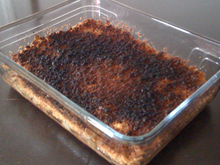 Crumble chicons-gésiers de canard confits