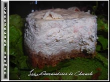 Cheesecake au saumon et aneth