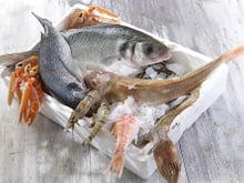 3 recettes pour manger du poisson sans détruire la planète