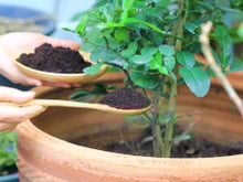 Marc de café : 5 astuces incroyables à tester d'urgence