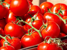 Rappel produit : des tomates vendues chez Auchan retirées du marché pour dépassement de pesticides