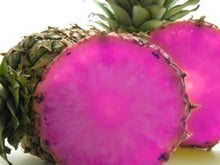 L’ananas rose, c’est pour bientôt ?