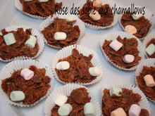 Rose des sables aux chamallows