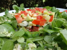 Salade de courgettes crues à l'huile de cameline