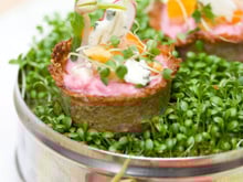 Petits nids terre-mer au Roquefort