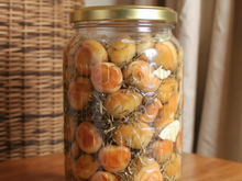 Conserve de sanguins à l'huile