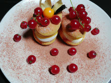 Tiramisu pêche et groseille