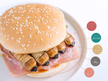 Bientôt des scarabées dans vos burgers et dans vos goûters ?