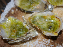 Huîtres gratinées au beurre d'escargot