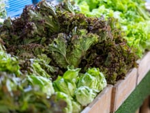 C'est le détail qu'il faut regarder avant d'acheter une salade, mais presque personne ne le fait
