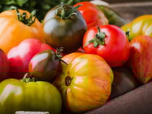 Congeler les tomates : les méthodes à connaître pour en profiter toute l’année