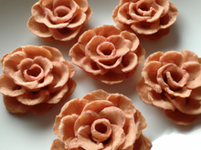 Roses des sables classiques