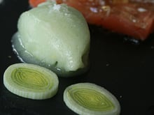 Fraîcheur de saumon-poireau à la gelée et sorbet ARIAKE