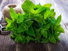 Ce simple geste recommandé par une MOF primeur libère tout le potentiel de la menthe fraîche