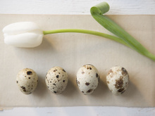 La cuisine du printemps vu par la rédaction de 750g