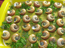 Escargot à la thièrachienne en robe des champs