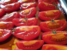 Tomates de la mer
