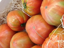 TOP 10 des aliments à ne pas conserver au réfrigérateur