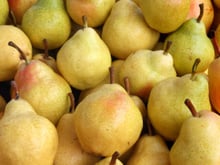 Quelles variétés de poires choisir en ce moment ? Les conseils d’une Meilleure ouvrière de France