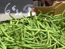 Chef Damien au marché : Les haricots