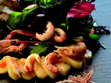 Salade de Princesse Amandine aux langoustines et mesclun de jeunes pousses