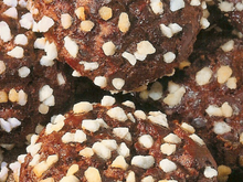 Chouquettes au chocolat