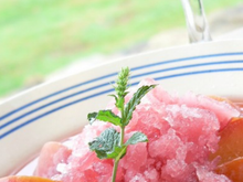 Soupe glacée de pêche au cidre et son granitée