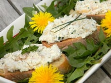 Rillettes de poulet aux fines herbes