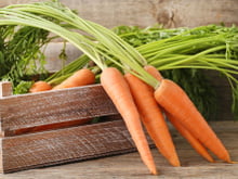 le vrai-faux des idées reçues sur la carotte