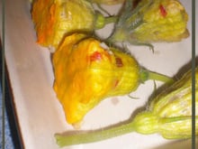 Fleurs de courgettes farcies aux céréales gourmandes