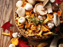 5 champignons à privilégier cette saison, et ceux à éviter à tout prix