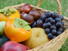 Que manger de bon en octobre ? (à part des courges)