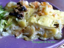 Lasagnes de la mer : haddock, saumon, crevettes et saint-jacques