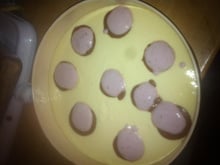 Cheese Cake Cerise et Chocolat