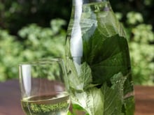 Vin aux feuilles de cassis