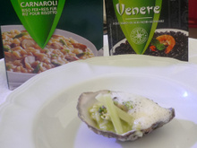 Huître Gilardeau, risotto Riso Gallo au broccoli et wazabi, émulsion de jus d'huître