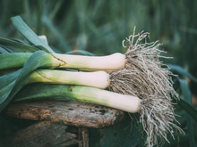 Doit-on jeter un poireau si le vert est fané  ?