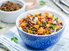 10 recettes de salade de lentilles pour des déjeuners équilibrés et complets